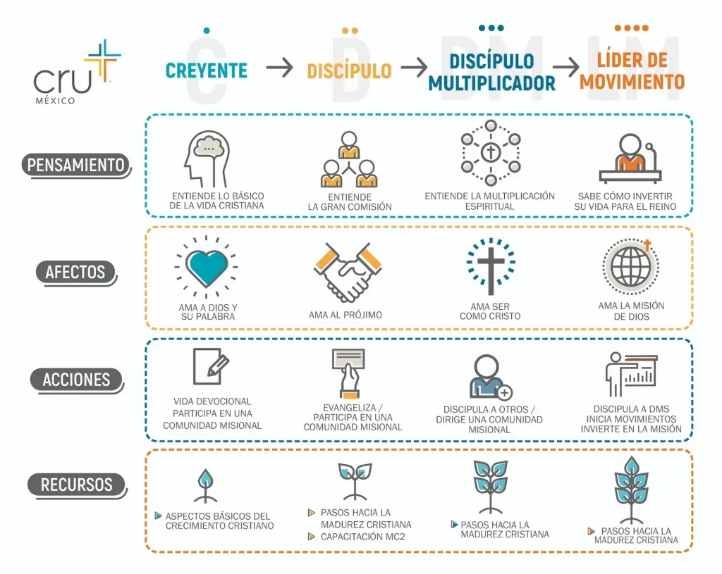 Cuadro del Camino de Multiplicación Espiritual: cuatro etapas, de creyente a líder de movimiento, con lo que corresponde en pensamiento, afectos, acciones y recursos